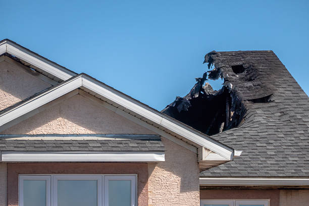 Top rated local Fire Damage Removal specialists in Berlin, MD